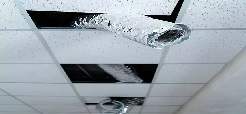 Affordable HVAC Sanitizing After Pest Removal in North Decatur