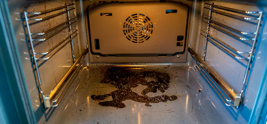 Our Dryer Vent Mold Cleaning Services in North Decatur, GA