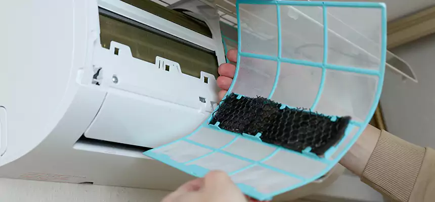 Gentle Ductwork Odor-Control Pet Dander Duct Cleaning in North Decatur, GA