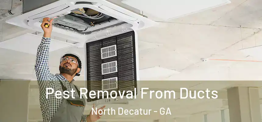  Pest Removal From Ducts North Decatur - GA