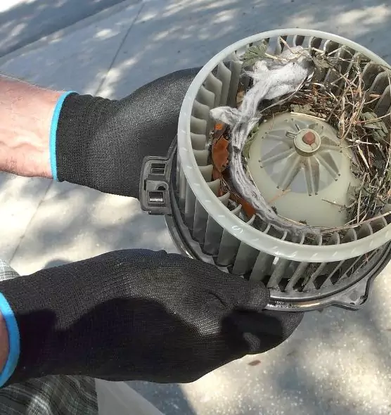 About Air Duct Rat Removal in North Decatur, GA