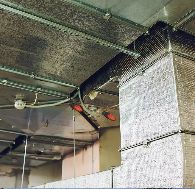 Why Homeowners & Businesses Trust Us in North Decatur, GA?