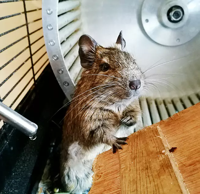 Why Homeowners & Businesses Trust Us North Decatur, GA